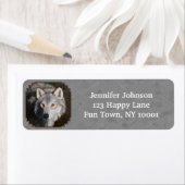 Grey Timber Wolf Face (Insitu)