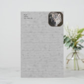Grey Timber Wolf Face Briefpapier (Stehend Vorderseite)