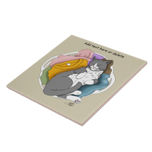 Grey White Cat Hair Laundry Fliese (Seite)