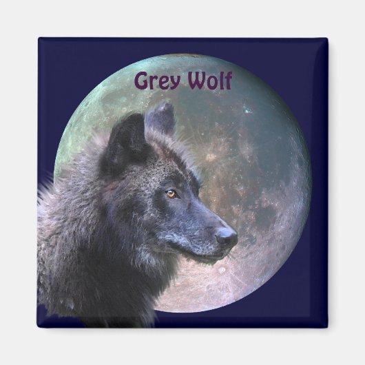 Grey Wolf & Full Moon Wildlife Collection Magnet (Vorne)