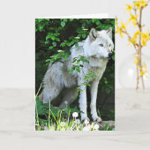 Grey Wolf Greeting Card Karte (Gelbe Blume)