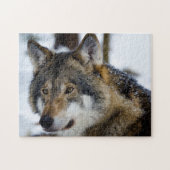 Grey Wolf, Jigsaw Puzzle (Horizontal)