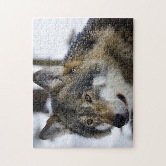 Grey Wolf, Jigsaw Puzzle (Vertikal)