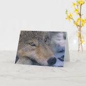 Grey Wolf Lovers Karte (Gelbe Blume)