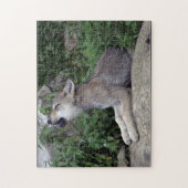 Grey Wolf Pup Wild Animal Puzzle (Vertikal)