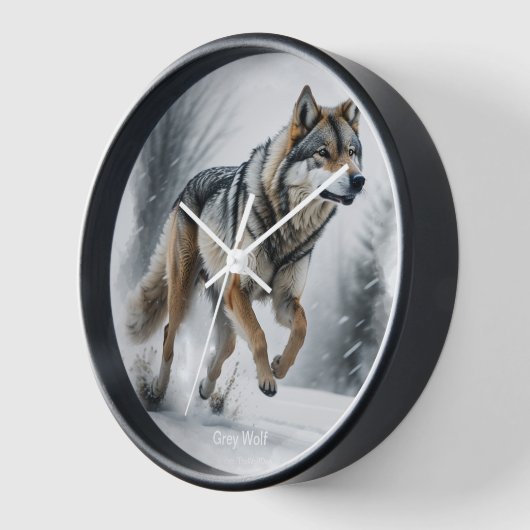 Grey Wolf Tierart Uhr (Winkel)