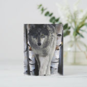 Grey Wolf & Winter Forest Wildlife Art Card Postkarte (Stehend Vorderseite)