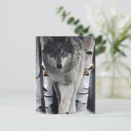 Grey Wolf & Winter Forest Wildlife Art Card Postkarte (Stehend Vorderseite)