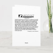 Greyfoot Katzen-Rettungs-Browntabby-Karte Karte (Rückseite)