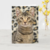 Greyfoot Katzen-Rettungs-Browntabby-Karte Karte (Gelbe Blume)