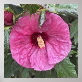 greyforaday Lila florale Printwerbung Poster