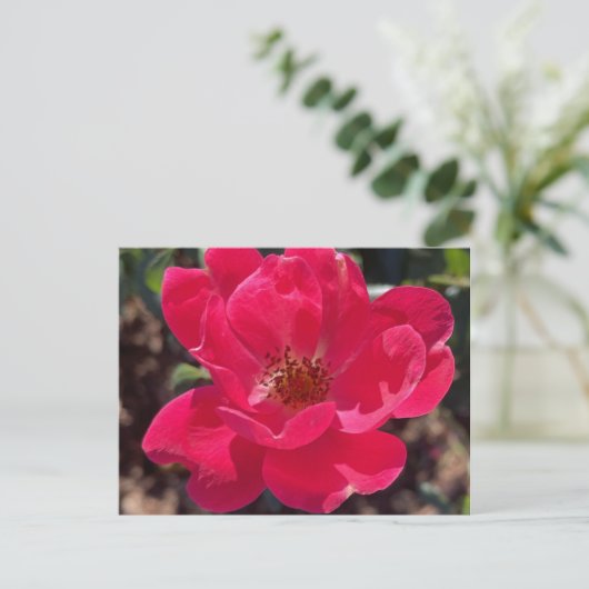 Greyforaday Red Floral Card Postkarte (Stehend Vorderseite)
