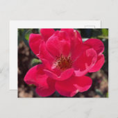 Greyforaday Red Floral Card Postkarte (Vorne/Hinten)