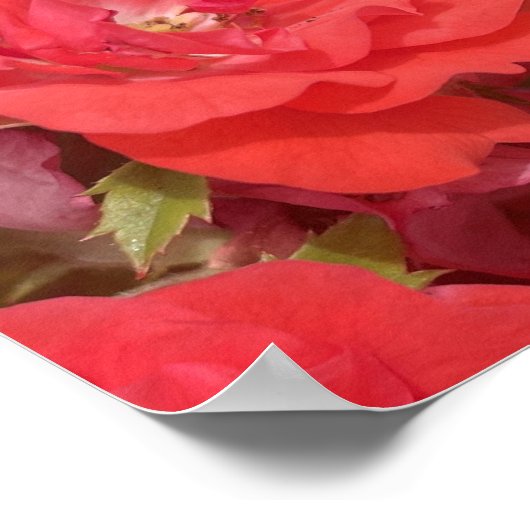 greyforaday Red Floral Print Poster (Ecke)