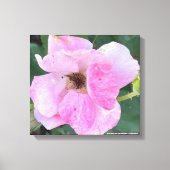 greyforaday Rosa Blumenschrift Leinwanddruck (Vorderseite)