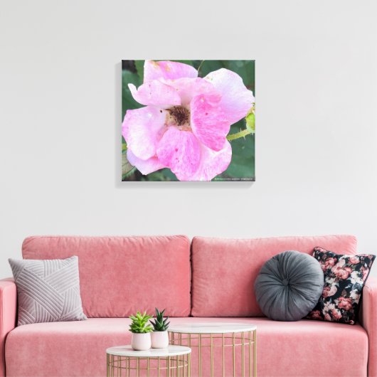 greyforaday Rosa Blumenschrift Leinwanddruck (Insitu (Wohnzimmer))