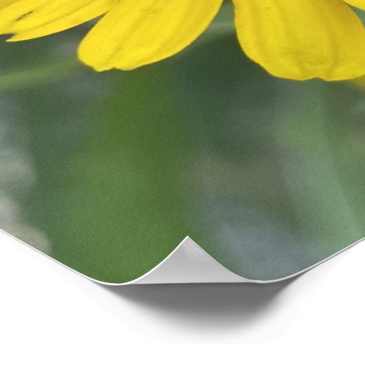 greyforaday Yellow Floral Print Poster (Ecke)