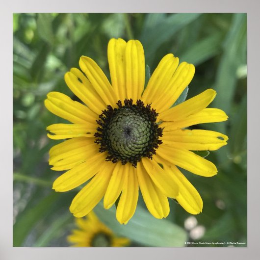 greyforaday Yellow Floral Print Poster (Vorne)