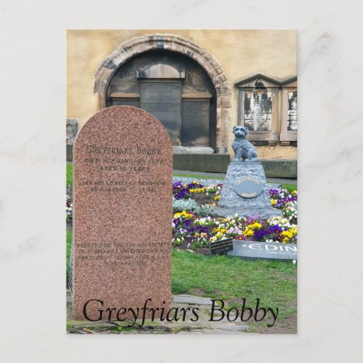 Greyfriars Bobby, Edinburgh Postkarte (Vorderseite)