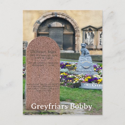 Greyfriars Bobby, Edinburgh Postkarte (Vorderseite)