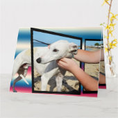 Greyhound 3 Dimensions Big Greeting Card Karte (Gelbe Blume)