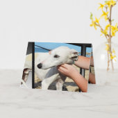 Greyhound 3D-Effekt Geburtstagskarte Karte (Gelbe Blume)