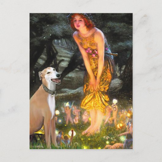 Greyhound 9B - Mitte Eve Postkarte (Vorderseite)