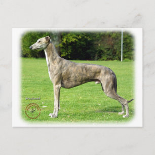 Greyhound 9J007D-14 Postkarte