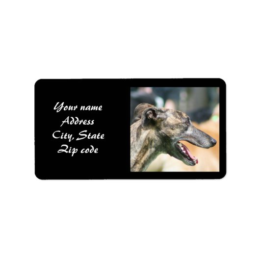 Greyhound Address Labels Adressaufkleber (Vorne)