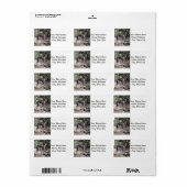 Greyhound Adressaufkleber (Vorne)