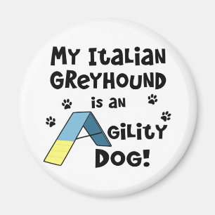Greyhound Agility Magnet