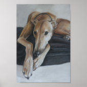 Greyhound Art Print Poster (Vorne)