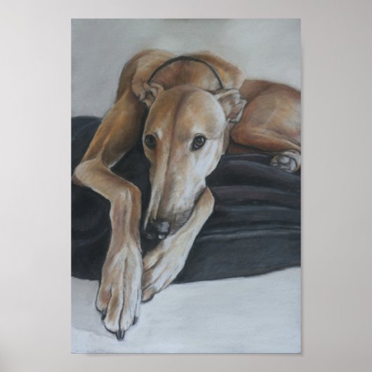 Greyhound Art Print Poster (Vorne)