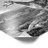 Greyhound Black and White Illustration Fotodruck (Ecke)