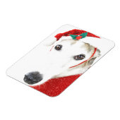 Greyhound Christmas Magnet - Für Wohltätigkeit (Linke Seite)