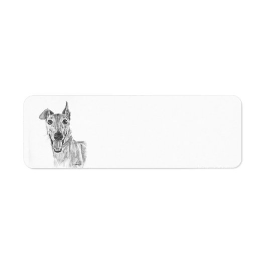 Greyhound Closeup Zeichnend (Vorne)