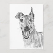 Greyhound Closeup Zeichnend Postkarte (Vorderseite)