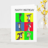 GREYHOUND COLLAGE KARTE (Gelbe Blume)