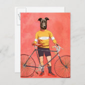 Greyhound Cyclin 2 Postkarte (Vorne/Hinten)