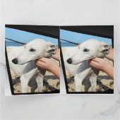 Greyhound Dimensions Big Grußkarte Karte (Innenseite)