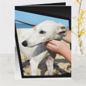 Greyhound Dimensions Big Grußkarte Karte (Gelbe Blume)