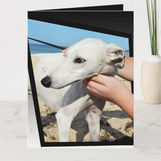 Greyhound Dimensions Big Grußkarte Karte (Vorderseite)