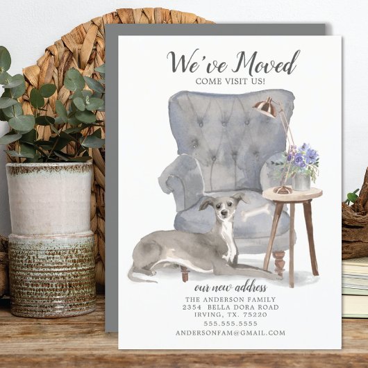 Greyhound Dog | Ankündigung der Beförderung