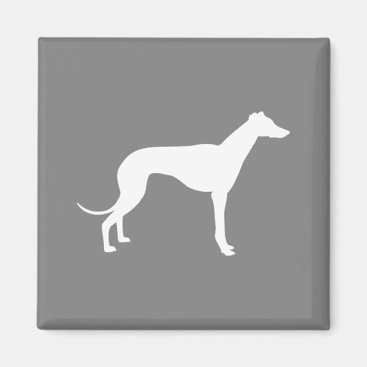 Greyhound Dog Magnet (Vorne)