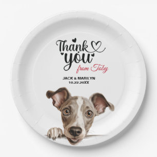 Greyhound Dog Pappteller