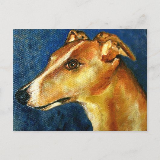 Greyhound Dog Portrait Postkarten (Vorderseite)