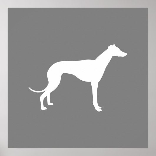 Greyhound Dog Poster (Vorne)