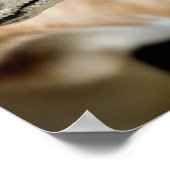 Greyhound Dog Poster (Ecke)