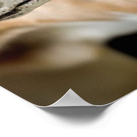 Greyhound Dog Poster (Ecke)