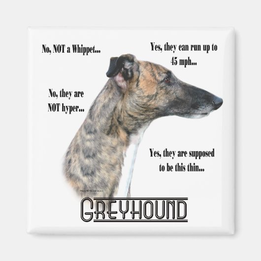 Greyhound FAQ Magnet (Vorne)